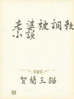 老婆被调教暴露小说