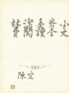 林洁秦齐小说免费阅读全文最新章节封面