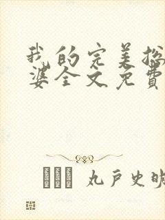 我的完美总裁老婆全文免费阅读