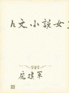 h文小说女主