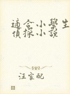 适合小学生看的侦探小说