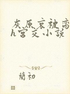 灰原哀被脔日常h宫交小说