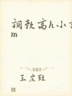 调教高h小说sm