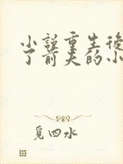 小说重生后我成了前夫的小舅娘txt