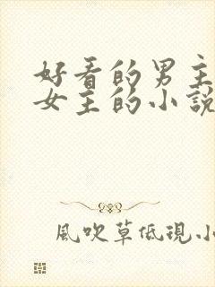 好看的男主暗恋女主的小说封面