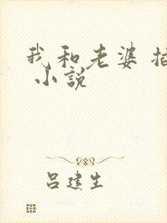 我和老婆 插入 小说