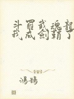 斗罗武魂龙渊剑我成剑鞘了笔趣阁