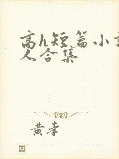 高h短篇小说多人合集