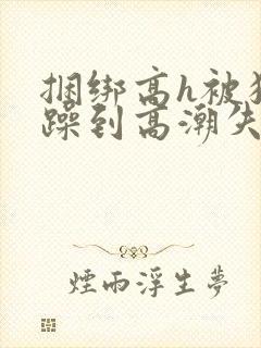 捆绑高h被狂c躁到高潮失禁视频封面