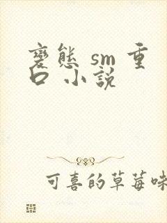 变态 sm 重口 小说封面