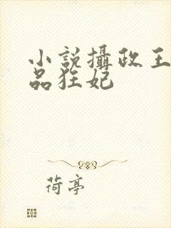 小说摄政王的医品狂妃