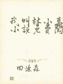 我叫林小喜全文小说免费阅读