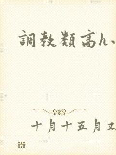 调教类高h小说封面