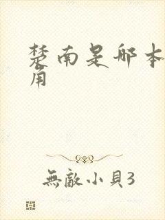 楚南是哪本书主角