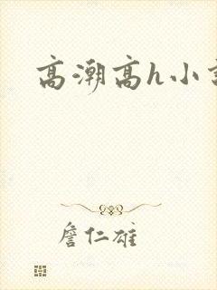 高潮高h小说封面