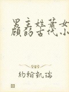 男主姓萧女主姓顾的古代小说