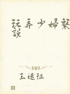 玩弄少妇系列小说