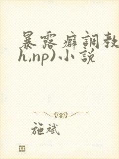 暴露癖调教(高h,np)小说