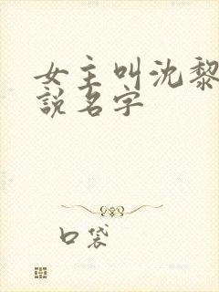 女主叫沈黎的小说名字