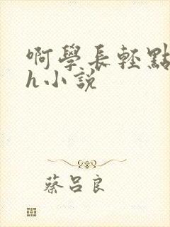 啊学长轻点c我h小说