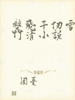 双飞千仞雪和朱竹清小说