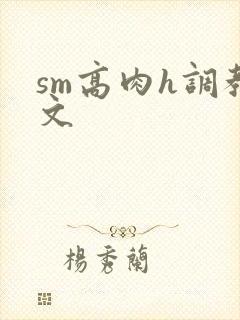 sm高肉h调教文