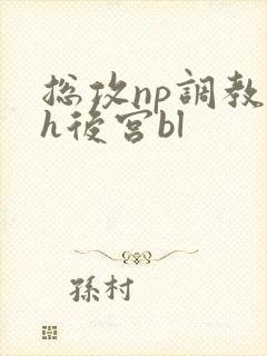 总攻np调教高h后宫bl封面