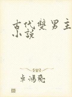 古代双男主生子小说封面