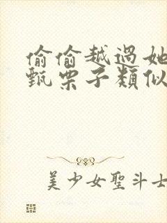 偷偷越过她by甄栗子类似小说封面