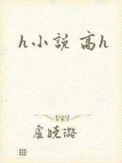 h小说 高h