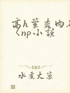 高h荤爽肉欲文〈np小说封面