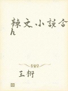 辣文小说合集高h封面