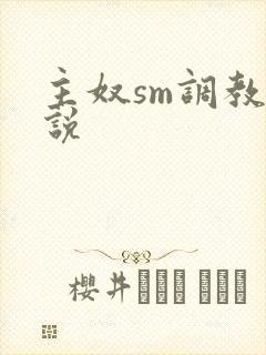 主奴sm调教小说封面