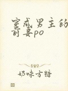 穿成男主的炮灰前妻po