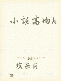 小说高肉h