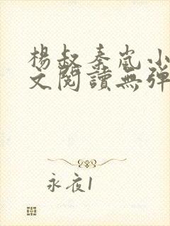 杨叔秦岚小说全文阅读无弹窗