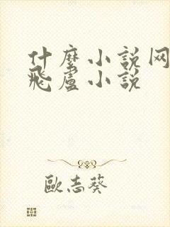 什么小说网能看飞卢小说封面