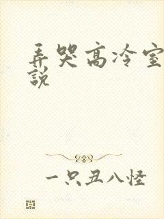 弄哭高冷室友小说