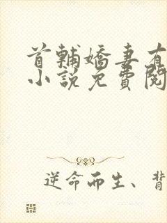 首辅娇妻有空间小说免费阅读封面