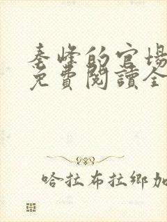 秦峰的官场小说免费阅读全文