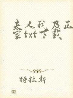 夫人我乃正经人家txt下载