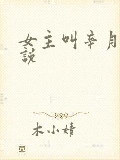 女主叫辛月的小说