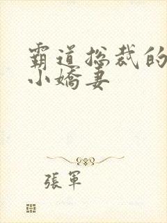 霸道总裁的甜宠小娇妻封面