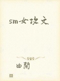 sm女攻文