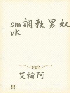 sm调教男奴丨vk