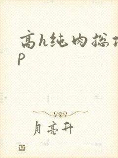 高h纯肉总攻np