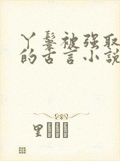 丫鬟被强取豪夺的古言小说