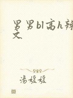 男男bl高h辣文