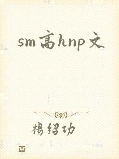 sm高hnp文