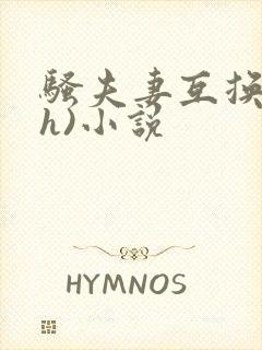 骚夫妻互换(高h)小说